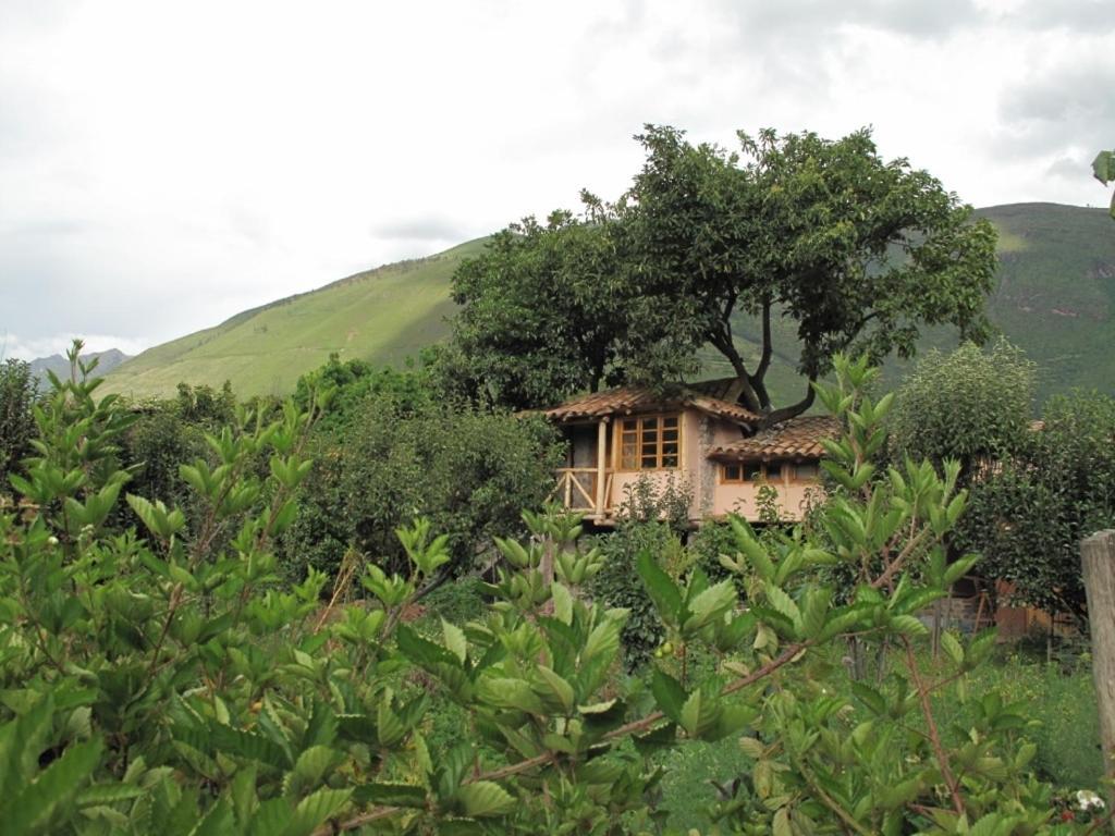 Casa De Aida Apartman Calca Kültér fotó