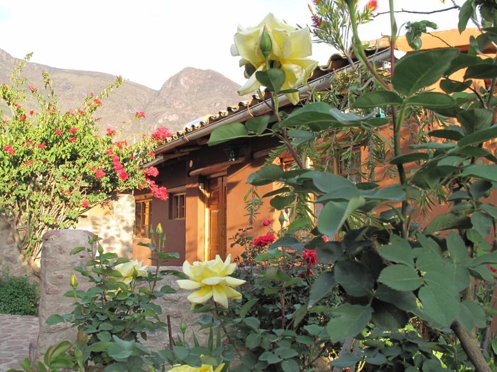 Casa De Aida Apartman Calca Kültér fotó