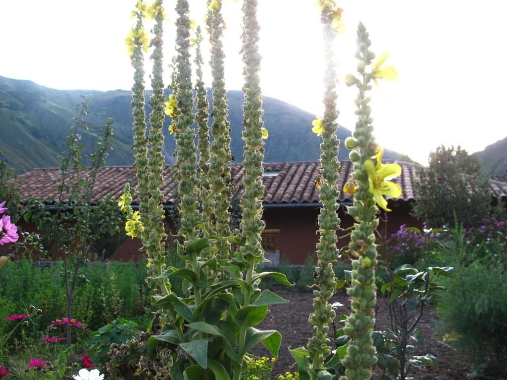 Casa De Aida Apartman Calca Kültér fotó