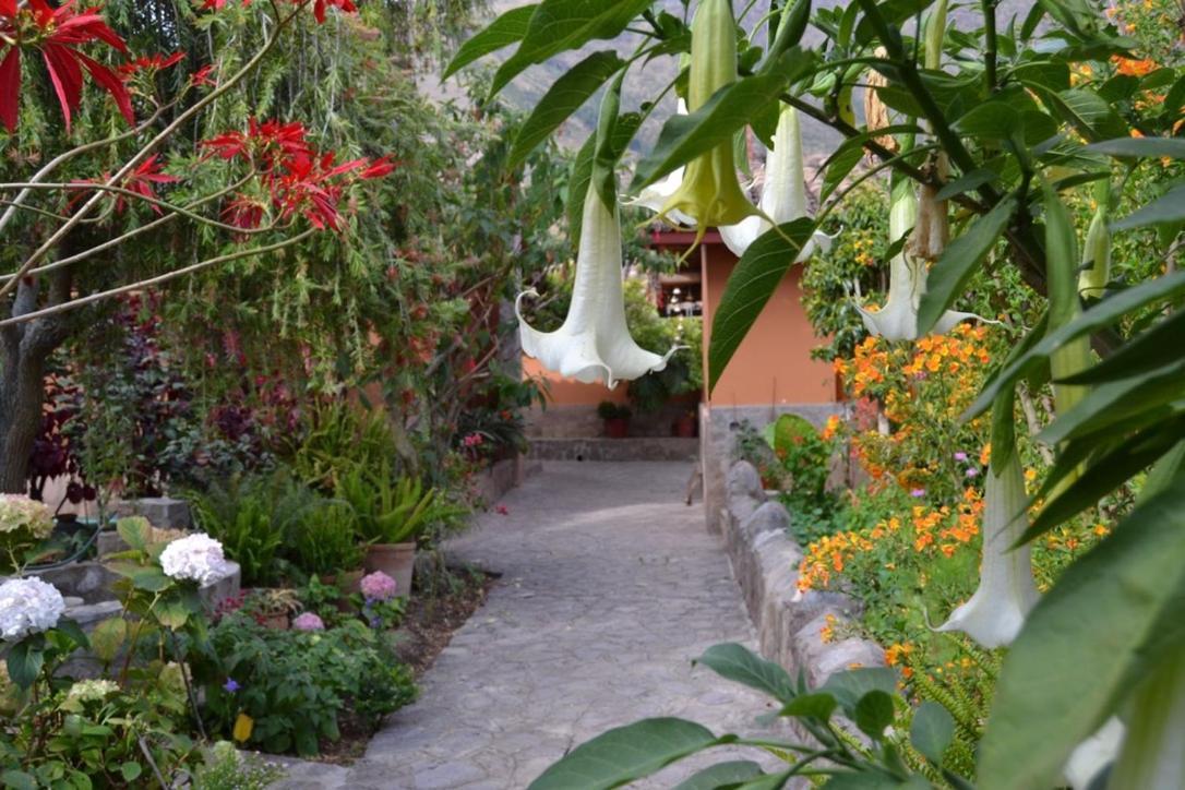 Casa De Aida Apartman Calca Kültér fotó